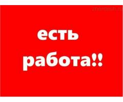 Супервайзер