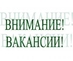 Грузчик (д. Шарапово)