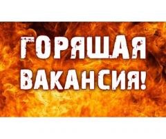 Грузчик в ночь