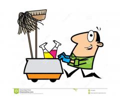 Ночной уборщик