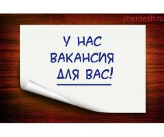 Грузчик/Разнорабочий