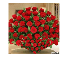 ДЕМ САЛАМ