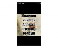 Квартирант керек