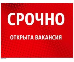 Комплектовщик  2900