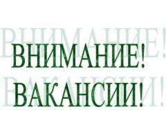 Комплектовщик