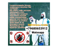 DEZKG: Дезинсекция и Дератизация (Москва