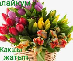 Срочна комната берилет