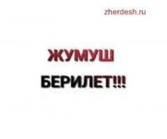 Комплектовщик от 70000