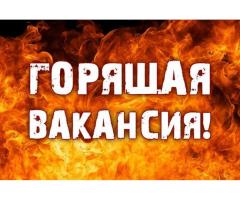 Комплектовщик  2900