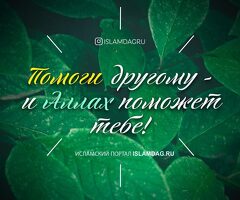 Срочно квартирант алабыз