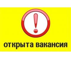 Комплектовщик от 70000