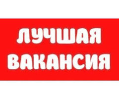 Работник торгового зала