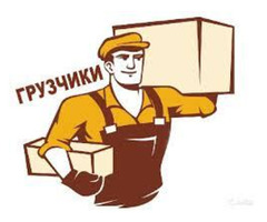 Грузчик (склад детского питания)