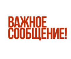 Упаковщик (Химки)