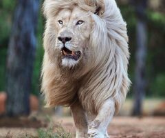 Краска стена и потолок