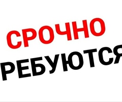 Комплектовщик от 80000