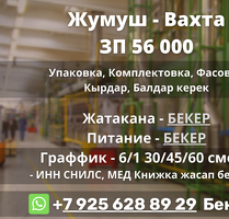 Вахта 56000 птицефабрика. Жатакана, питание бекер
