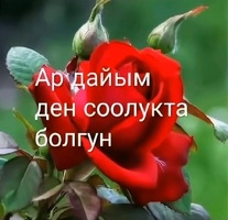 Жардам