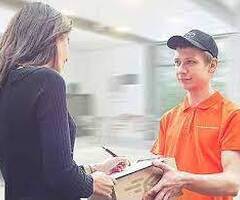 Пеший курьер