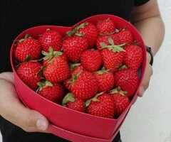 Переборка малина