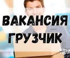 Грузчик (Химки)