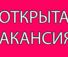 Работник торгового зала (без кассы и продаж)