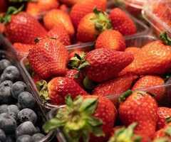 Переборка малина