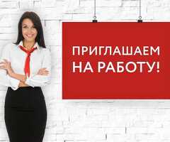 Работник торгового зала (без кассы и продаж)