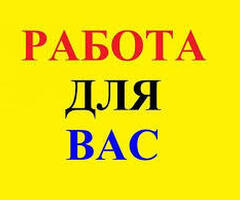 Работник торгового зала (без кассы и продаж)
