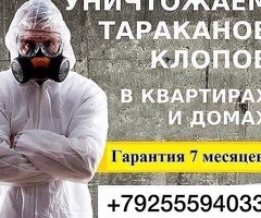 дезинфекция клоп таракан договор бар