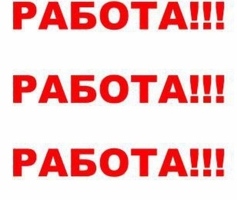 Грузчик (только обмотка стрейч-пленкой)