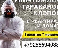 КЛОП ТАРАКАН ДАРЫЛАЙМ + ГАРАНТИЯ