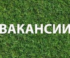 упаковщик чипсов/еженедельные выплаты