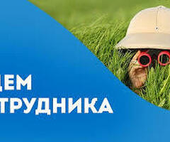 Сборщик заказов 2100р/смена