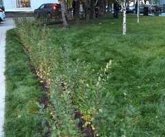 работа ночью