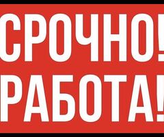 Сборщик заказов, выплаты еженедельно,4 МЕСТА
