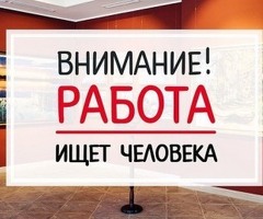 Кассир (только работа на кассе)