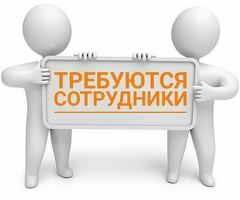 Грузчики, бесплатное проживание и питание