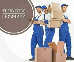 ГРУЗЧИК, БЕСПЛАТНОЕ ПРОЖИВАНИЕ И ПИТАНИЕ, АВАНСЫ КАЖДУЮ НЕДЕЛЮ