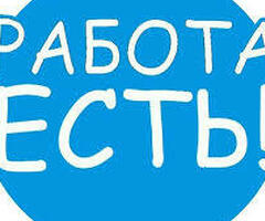 Упаковщик на шоколадную фабрику
