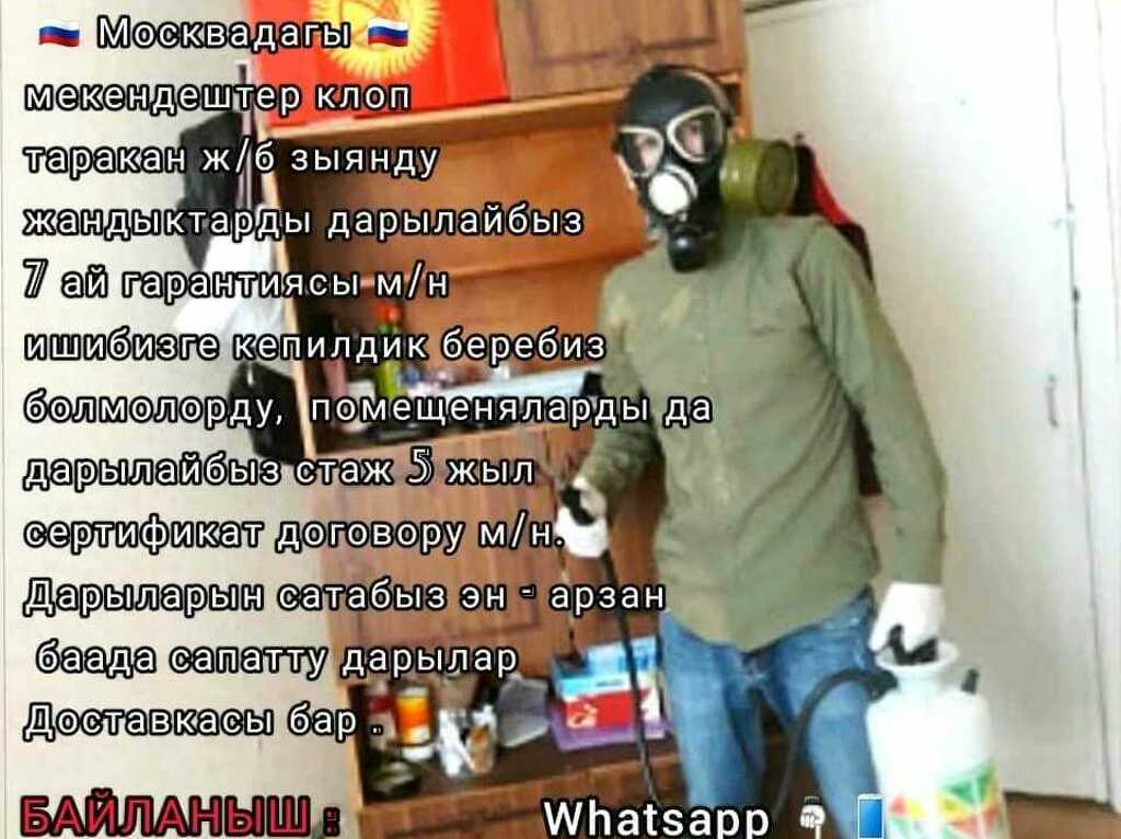 ДЕЗИНФЕКЦИЯ КЛОП ТАРАКАН ДАРЫ ОЗУ САТЫЛАТ - 4