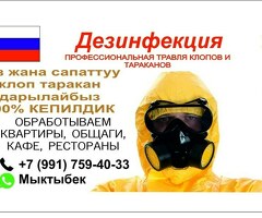 Клоп таракан Дезинфекция кепилдик баар