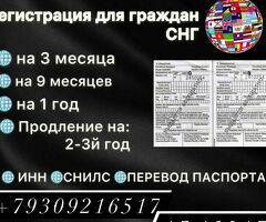 Юридическая деятельность