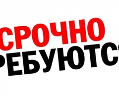 КОТЛОМОЙЩИК СРОЧНО