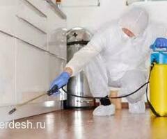 ДЕЗИНФЕКЦИЯ КЛОПОВ И ТАРАКАНОВ