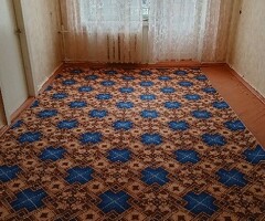 эки адамга