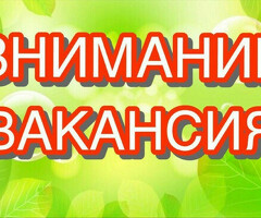 Сиделка/Социальный работник