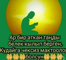 койка место