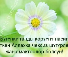 первомайская метро, койка местага 3 бала алабыз,