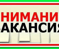 Сиделка/Социальный работник